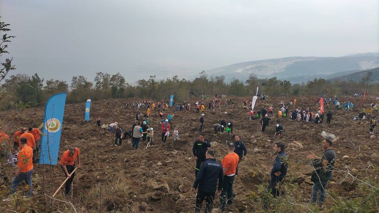 11 Kasım’da Türkiye Fidanla Nefes Aldı