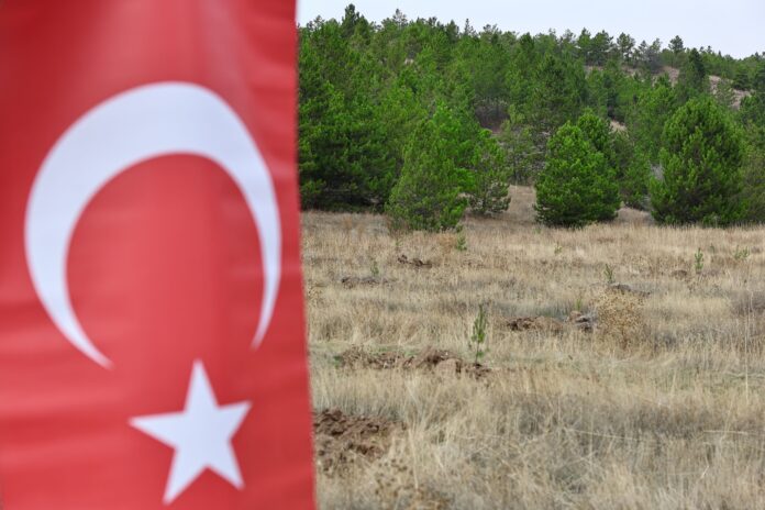 11 Kasım’da Türkiye Fidanla Nefes Aldı