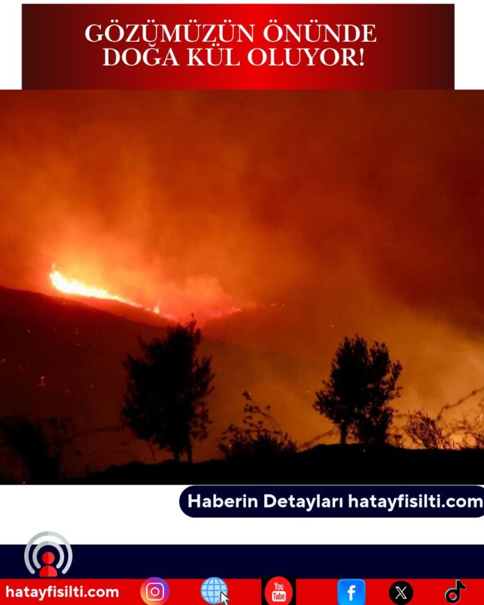 Gözümüzün Önünde Doğa Kül Oluyor