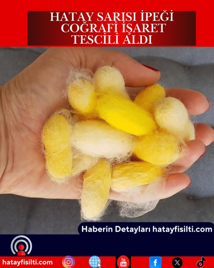 Hatay Sarısı İpeği Coğrafi İşaret Tescili Aldı