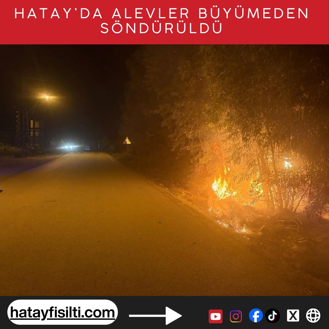 Hatay Büyükşehir Belediyesi itfaiyesi yangına müdahale etti