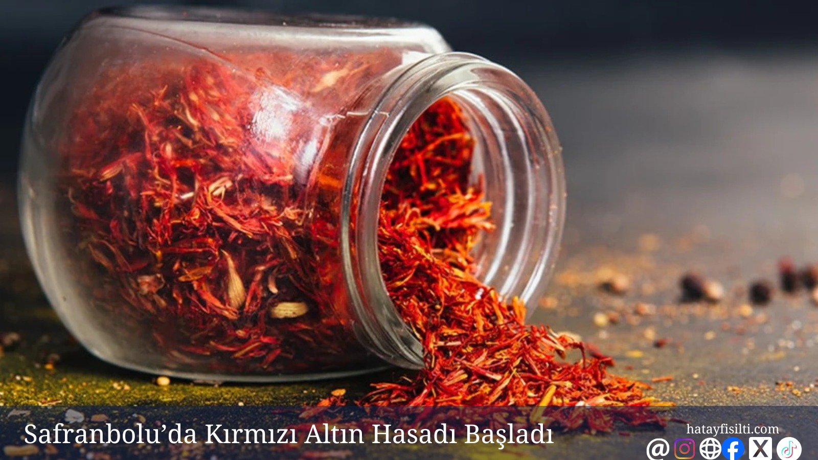 Bu Bitkinin Gramı 600 Bin TL: Safran Hasadı Başladı