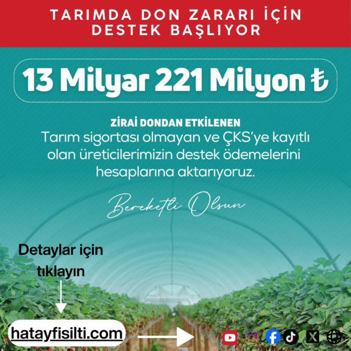 Zirai Don Mağdurlarına İlk Etapta 13 Milyar TL