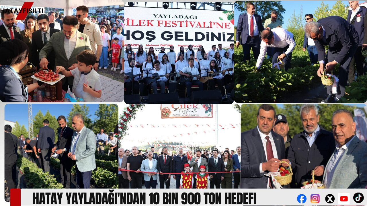 Hatay Yayladağı'ndan 10 Bin 900 Ton Hedefi