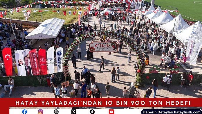 Hatay Yayladağı'ndan 10 Bin 900 Ton Hedefi